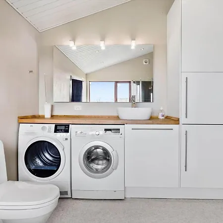 Lf238-snedsted-kongens-borer-8